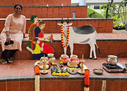 Pongal Activities