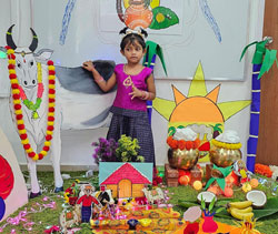 Pongal Activities